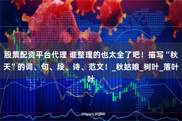 股票配资平台代理 谁整理的也太全了吧！描写“秋天”的词、句、段、诗、范文！_秋姑娘_树叶_落叶