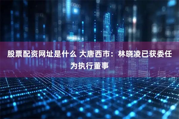 股票配资网址是什么 大唐西市：林晓凌已获委任为执行董事